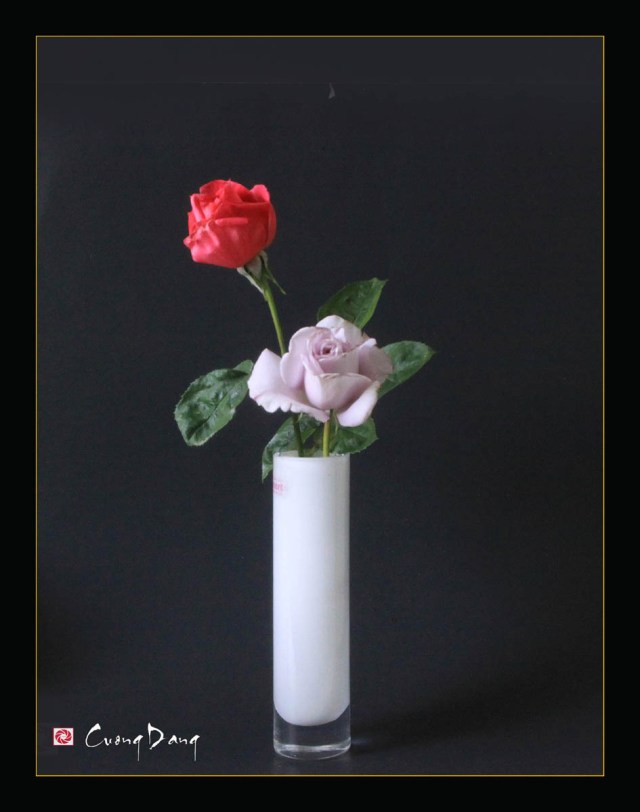 Lọ hoa hồng (ed)