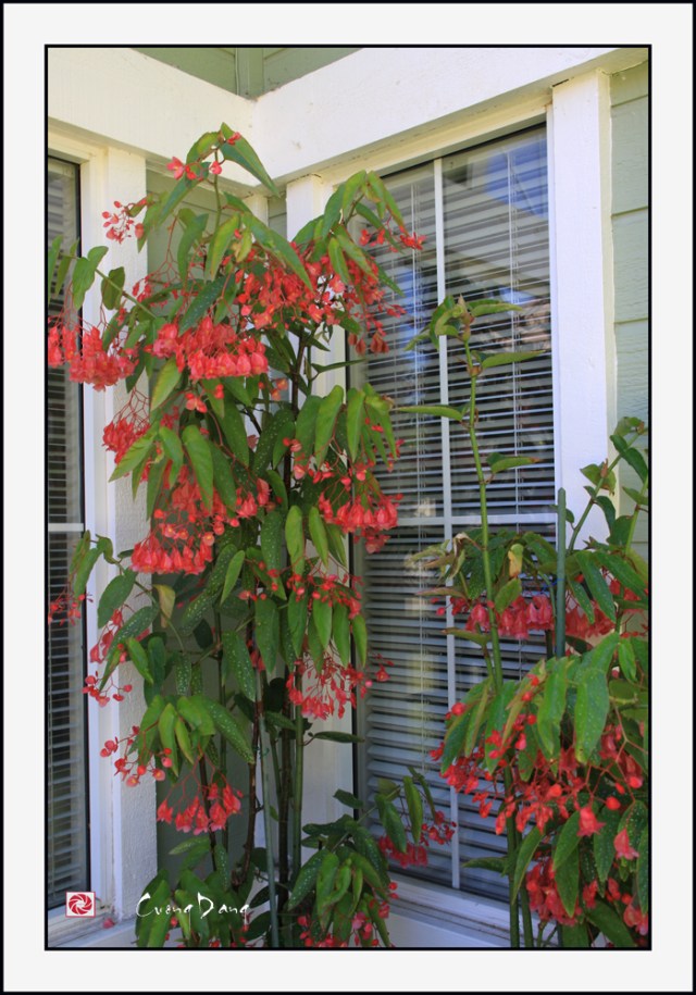 Bên cửa sổ 3-ed