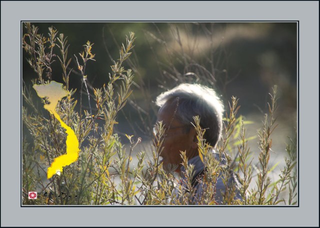 Thù nước ..... 1-ed