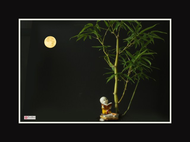 Đọc sách dưới trăng 4-ed