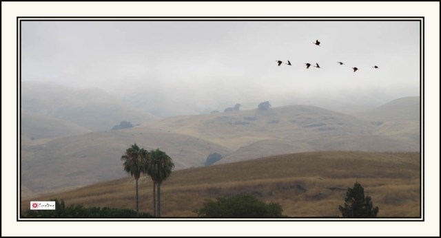 Đồi sương 13-ed+ch