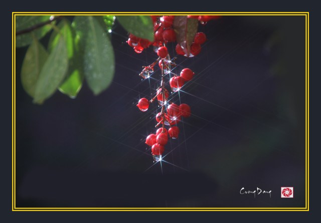 Sau cơn mưa trời lại nắng 1