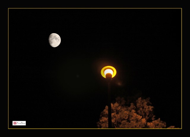 Nửa vầng trăng (ed)