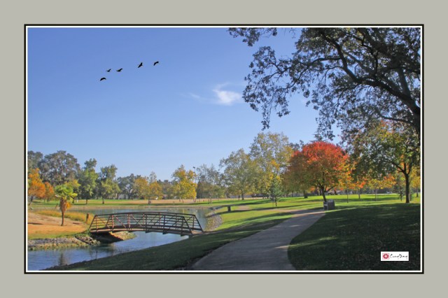 Thu công viên 30-a-ed