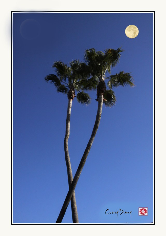 Trăng đã lên 2-ed