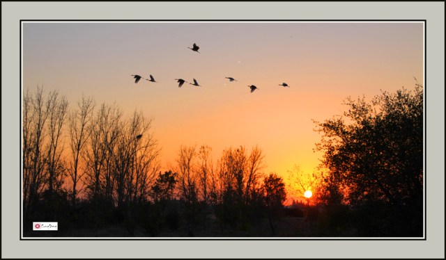 Trời chiều 56-ed