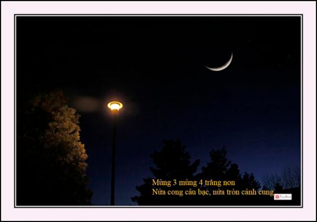 trang