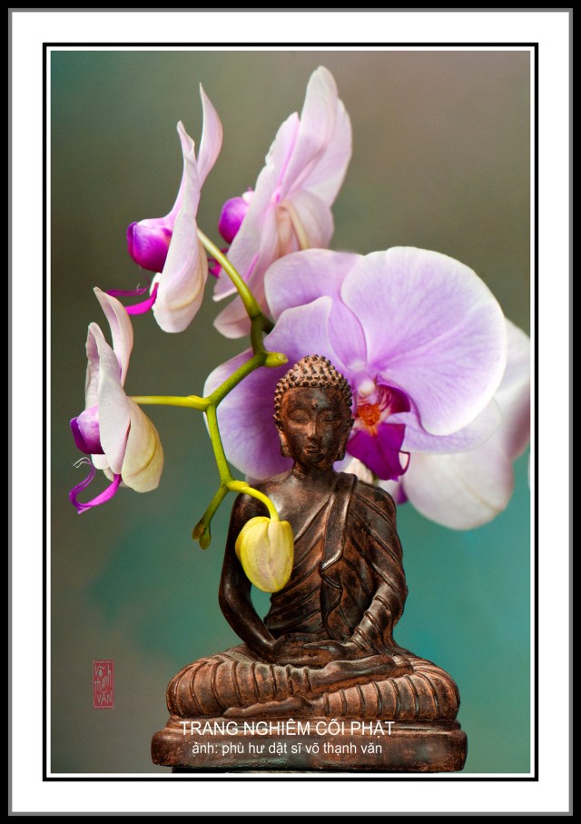 TrangNghiemCoiPhat(f)