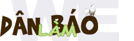 Dân Làm Báo