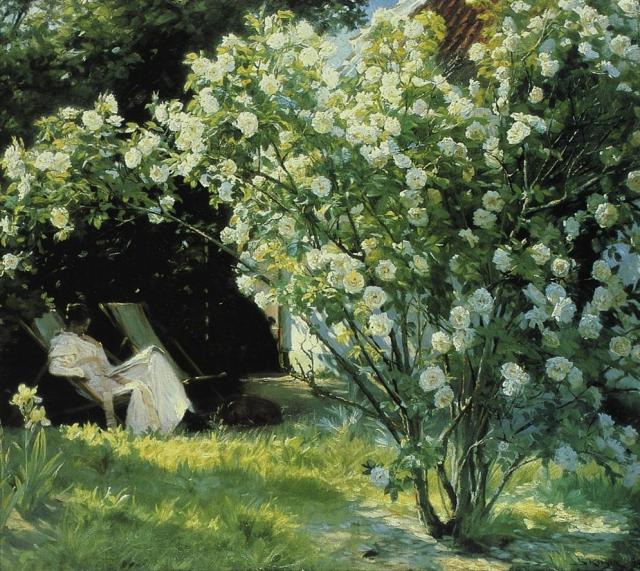 Peder_Severin_Kroyer_roses_unknown