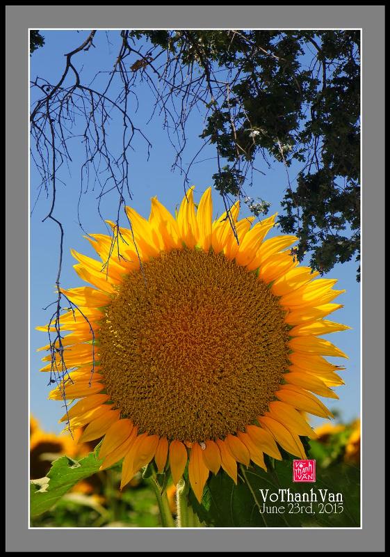 ????????????????????????????????????