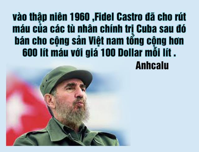 15179183_368093176865164_6553125594556745909_n