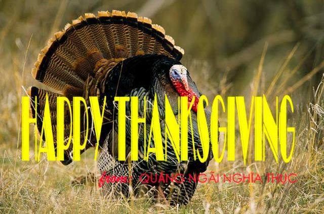 Wild turkey gobbler strutting and displaying. Photo taken on private land along blue Creek North of Oshkosh in Garden County. Grier, Apr. 1995. Copyright NEBRASKAland Magazine, Nebraska Game and Parks Commission.