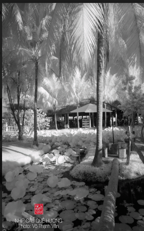 screen-shot-2016-12-16-at-10-02-58-pm