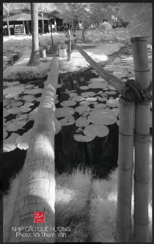 screen-shot-2016-12-16-at-9-52-32-pm