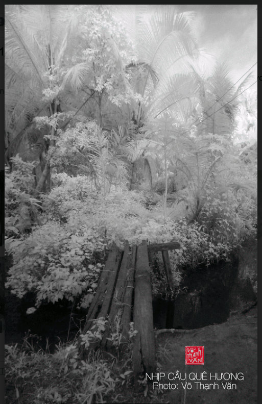 screen-shot-2016-12-16-at-9-54-02-pm