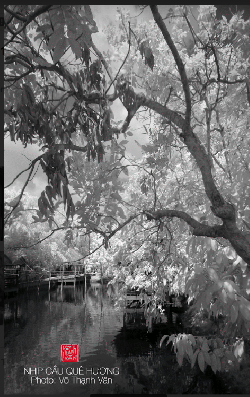 screen-shot-2016-12-16-at-9-54-37-pm