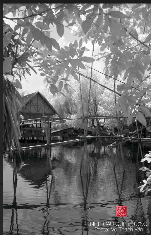 screen-shot-2016-12-18-at-4-50-21-pm