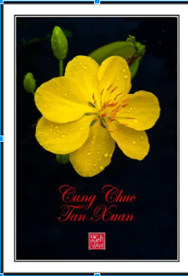 screen-shot-2016-12-30-at-8-01-02-am