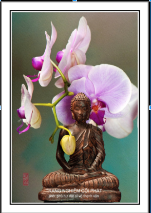 screen-shot-2016-12-30-at-8-02-22-am