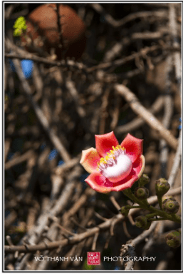 screen-shot-2016-12-30-at-8-03-37-am