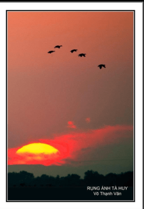 screen-shot-2016-12-30-at-8-08-35-am