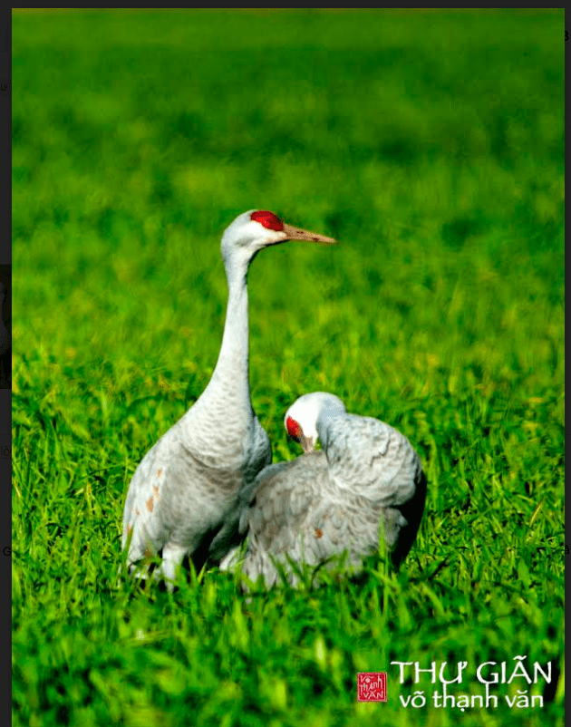 screen-shot-2017-01-03-at-10-29-20-am