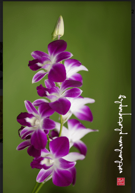 screen-shot-2017-02-03-at-6-25-52-pm