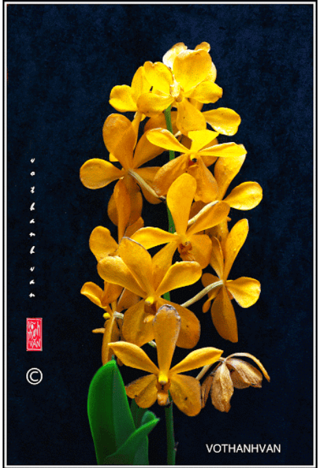 screen-shot-2017-02-03-at-6-27-01-pm