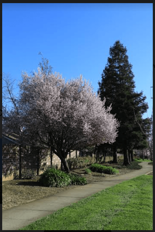 Screen Shot 2017-03-26 at 10.22.10 AM.png