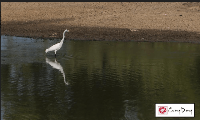 Screen Shot 2017-05-28 at 11.00.09 AM.png