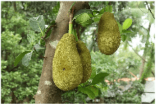 Screen Shot 2019-05-19 at 4.14.30 PM.png