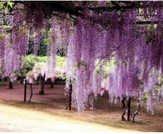 Screen Shot 2020-03-01 at 4.07.27 PM.png